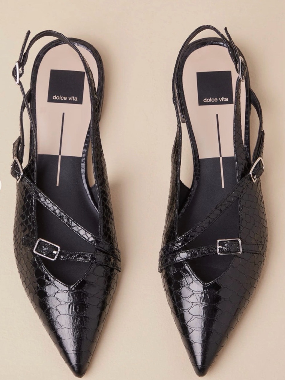 DOLCE VITA Pamla Midnight Snake Embossed Flat in Black // 8